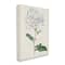 Stupell Industries Rustic Garden Floral Study Charming White Blossoms Canvas Wall Art